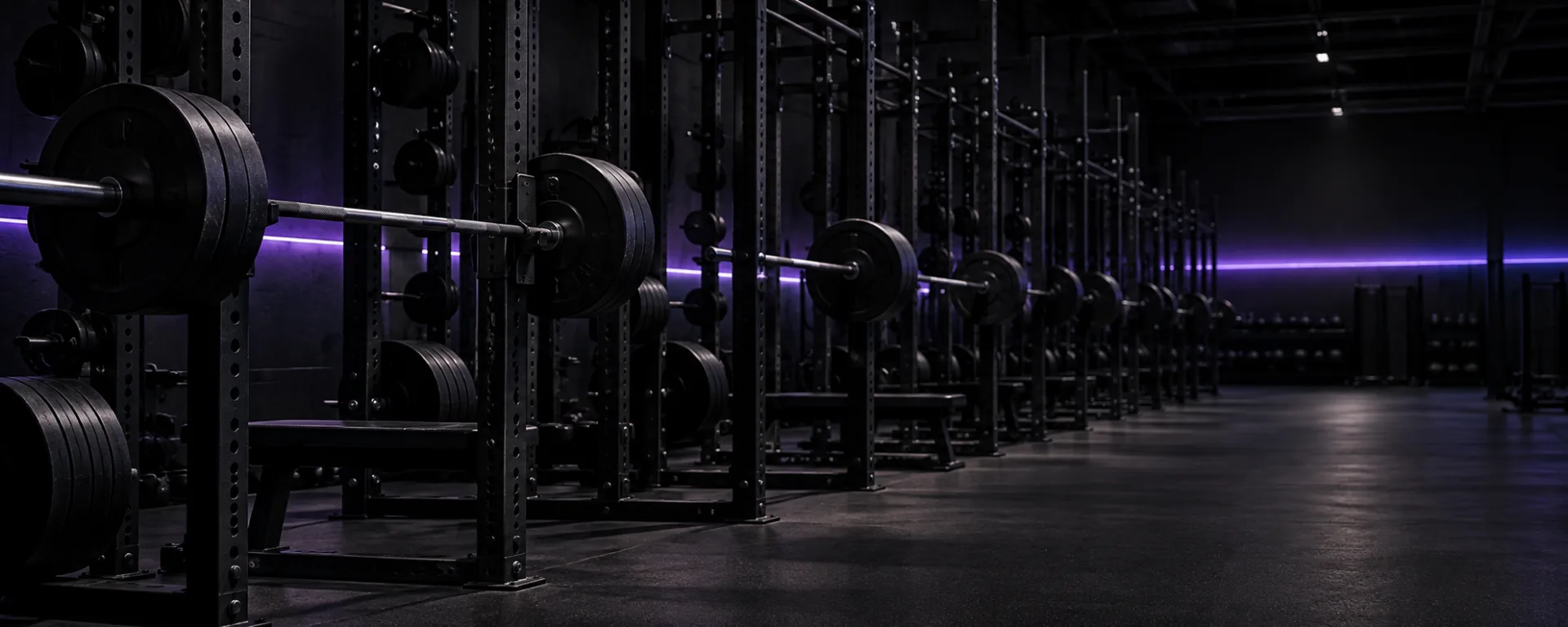 Rows of squat racks in the studio